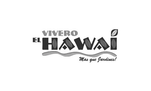jc-marketing-viviero-hawai